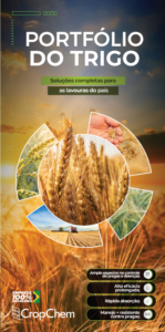 imagem de capa do portfólio do trigo